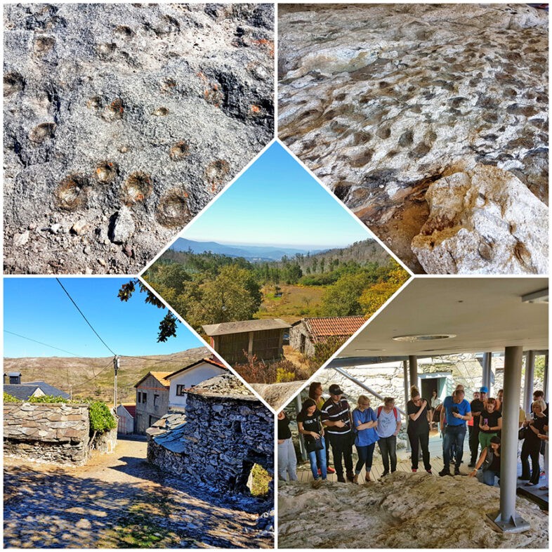 OGLED DOBRIH PRAKS DELOVANJA LAS NA PORTUGALSKEM