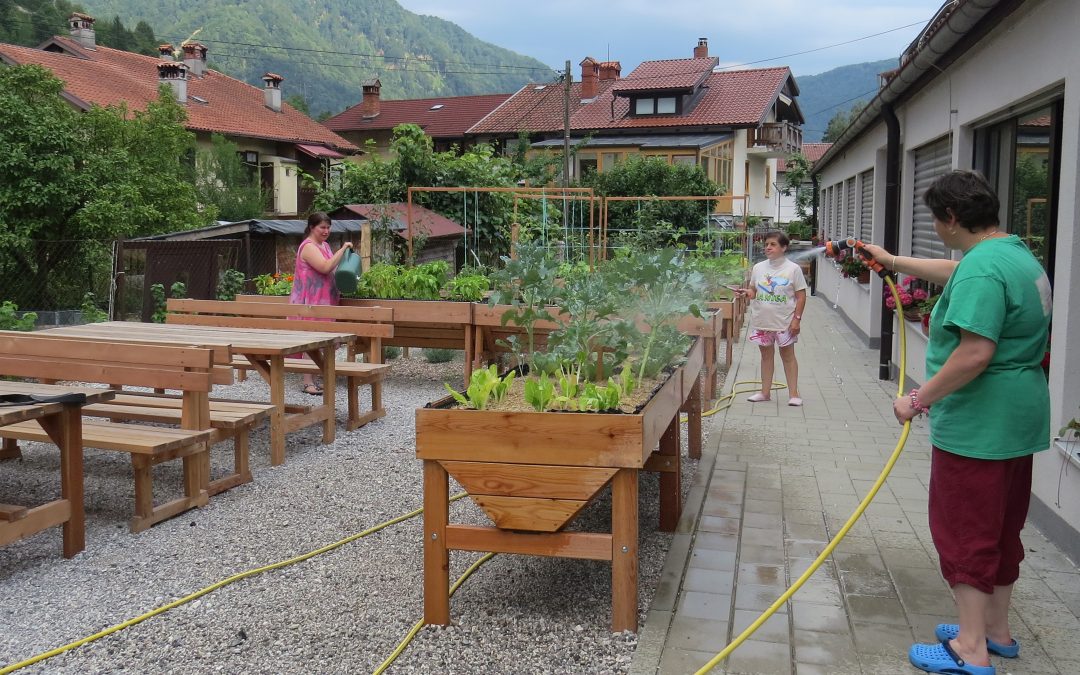 Vrtičkanje in hortikulturna terapija