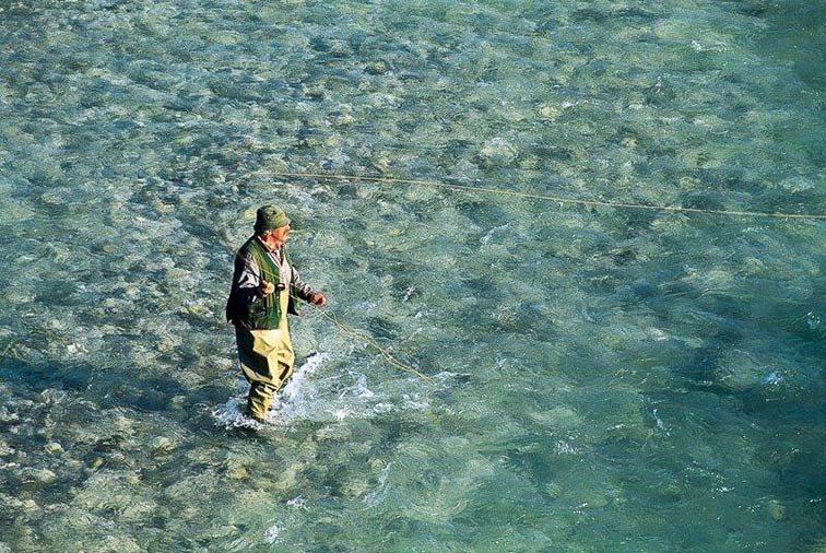 Z inovativnimi poslovnimi rešitvami do višje dodane vrednosti v akvakulturi