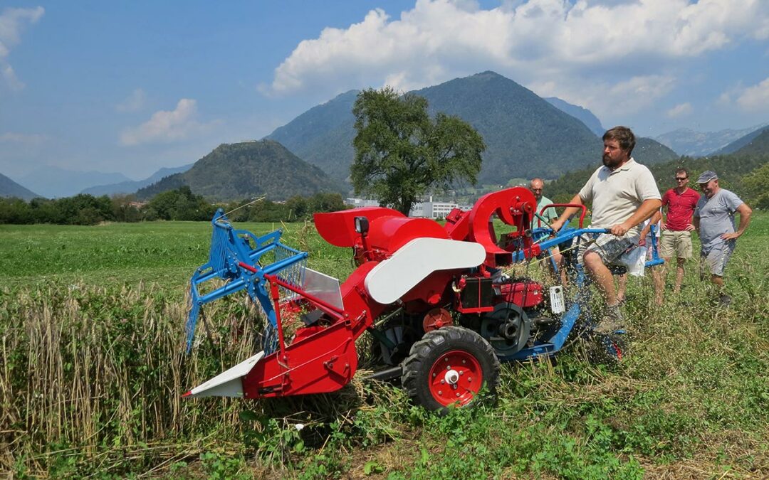 Revitalizacija prostora in uma (REVITUM)