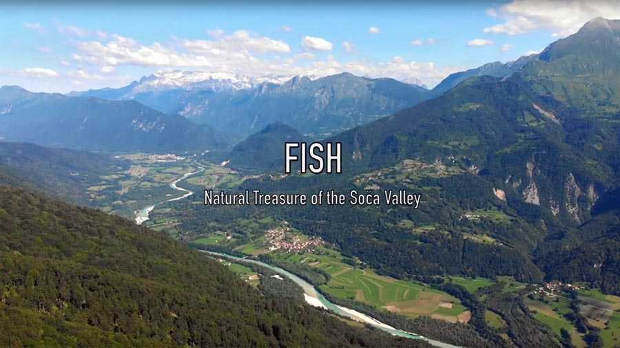 Promocijski film Ribe – naravni zaklad doline Soče