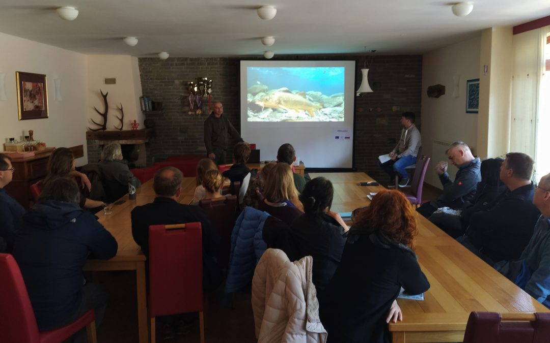 Ciprinidi, (ne)znano bogastvo voda