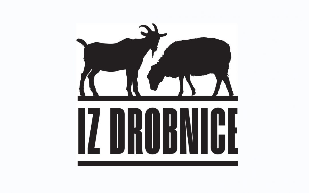Družinski koledar “Iz drobnice”