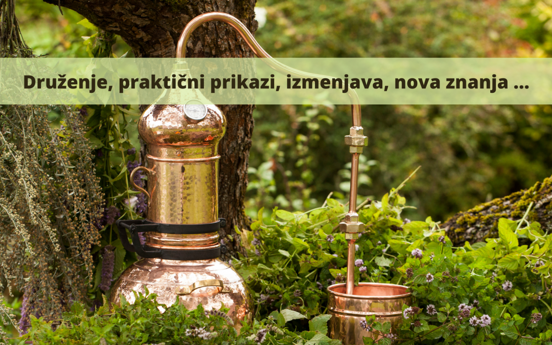 Druženje na skupnostnem vrtu s prikazom destilacije zelišč …