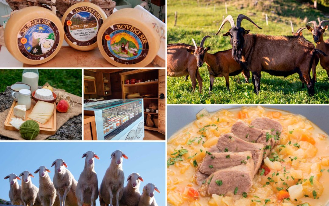 Razvojni dokument projekta sodelovanja LAS “Iz drobnice”